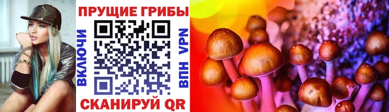 купить наркотик  Йошкар-Ола  МЕГА рабочий сайт  Псилоцибиновые грибы Psilocybe 