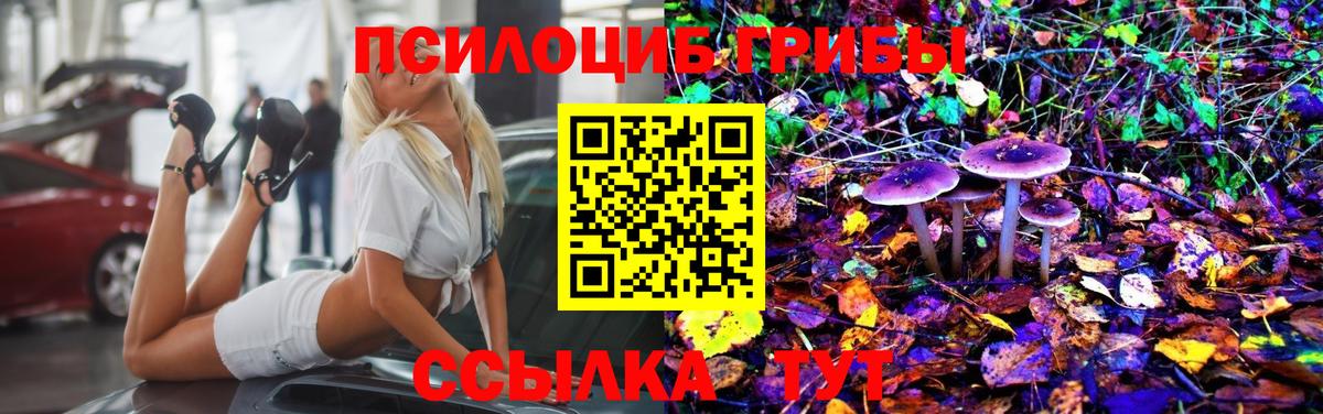 Псилоцибиновые грибы мицелий Йошкар-Ола