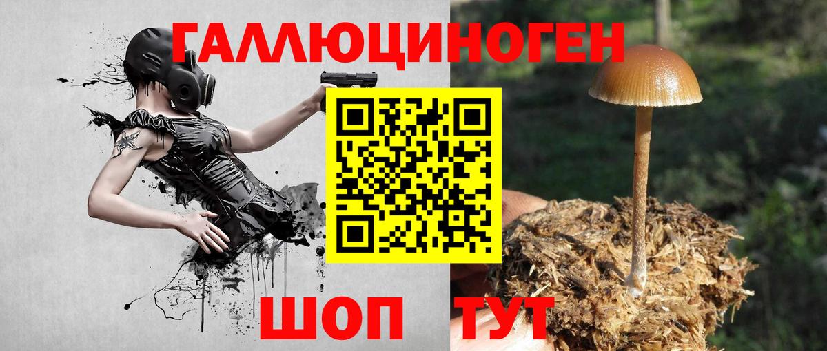 Галлюциногенные грибы ЛСД  Йошкар-Ола 