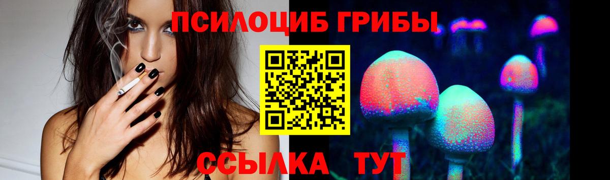Йошкар-Ола  купить  сайты  Псилоцибиновые грибы мицелий  Вход с VPN  Галлюциногенные грибы прущие грибы 