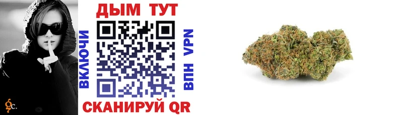 продажа наркотиков  Йошкар-Ола  Бошки марихуана SATIVA & INDICA 